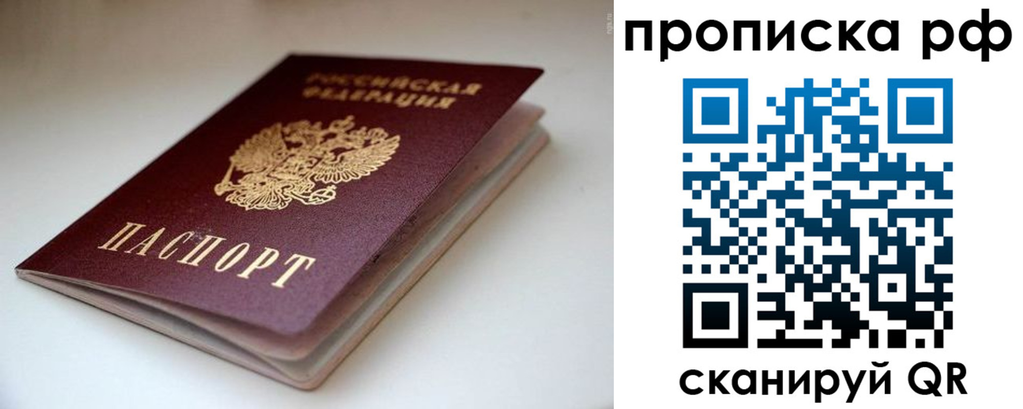 прописка 2025 в Лосино-Петровском